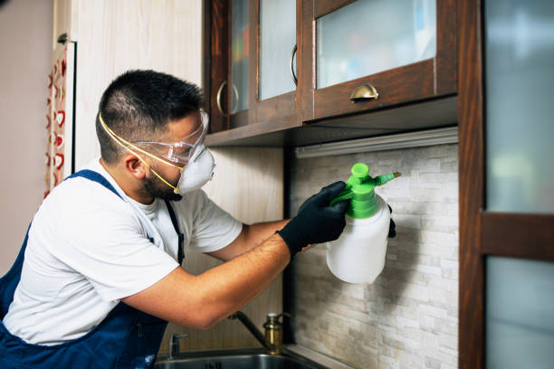 Best Cockroach Control Services  in Lower Grand Lagoon, FL