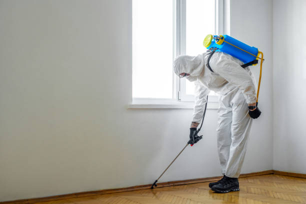 Best Local Pest Control Services  in Lower Grand Lagoon, FL