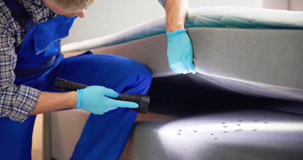 Best Termite Control Services  in Lower Grand Lagoon, FL