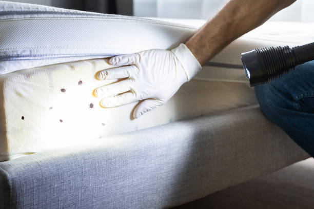  Lower Grand Lagoon, FL Pest Control Pros