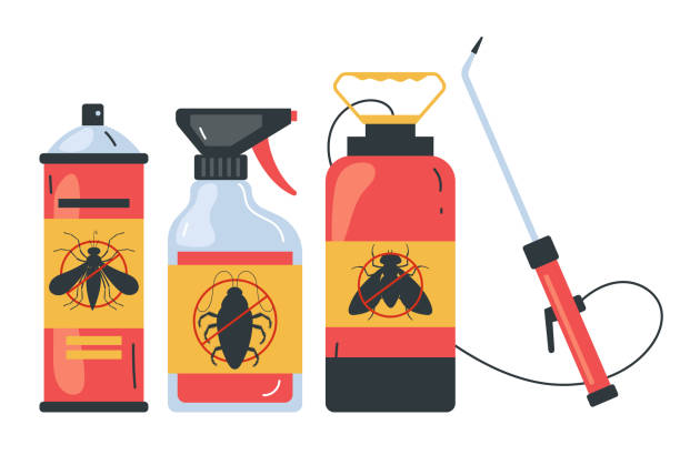 Reliable Lower Grand Lagoon, FL Pest Control Solutions