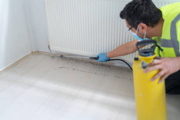 Best Best Pest Control Companies  in Lower Grand Lagoon, FL