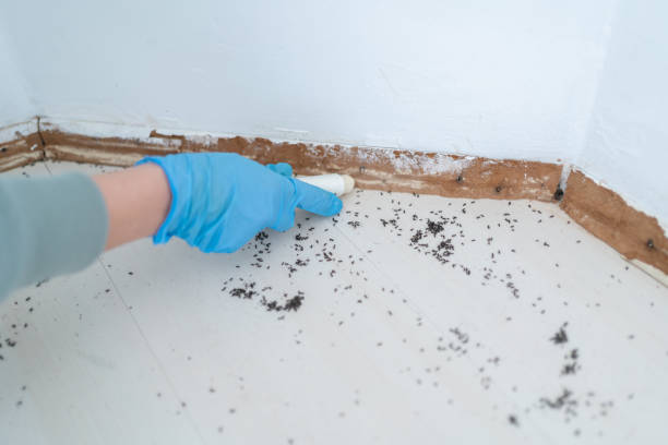 Best Pest Inspection Near Me  in Lower Grand Lagoon, FL